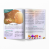 Magazine Polymère & Co N°38 Journey into Fairyland opened on one of the double pages of the article "Make a living from your passion" The magic of mindset