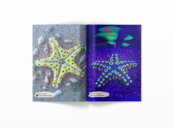 magazine ouvert présentant la photo du projet du tutoriel "Astérie abyssale". A gauche, l'étoile de mer de jour, à droite, l'étoile de mer phosphorescente sous lumière UV